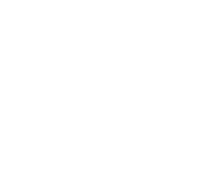 App Slots App Lionking